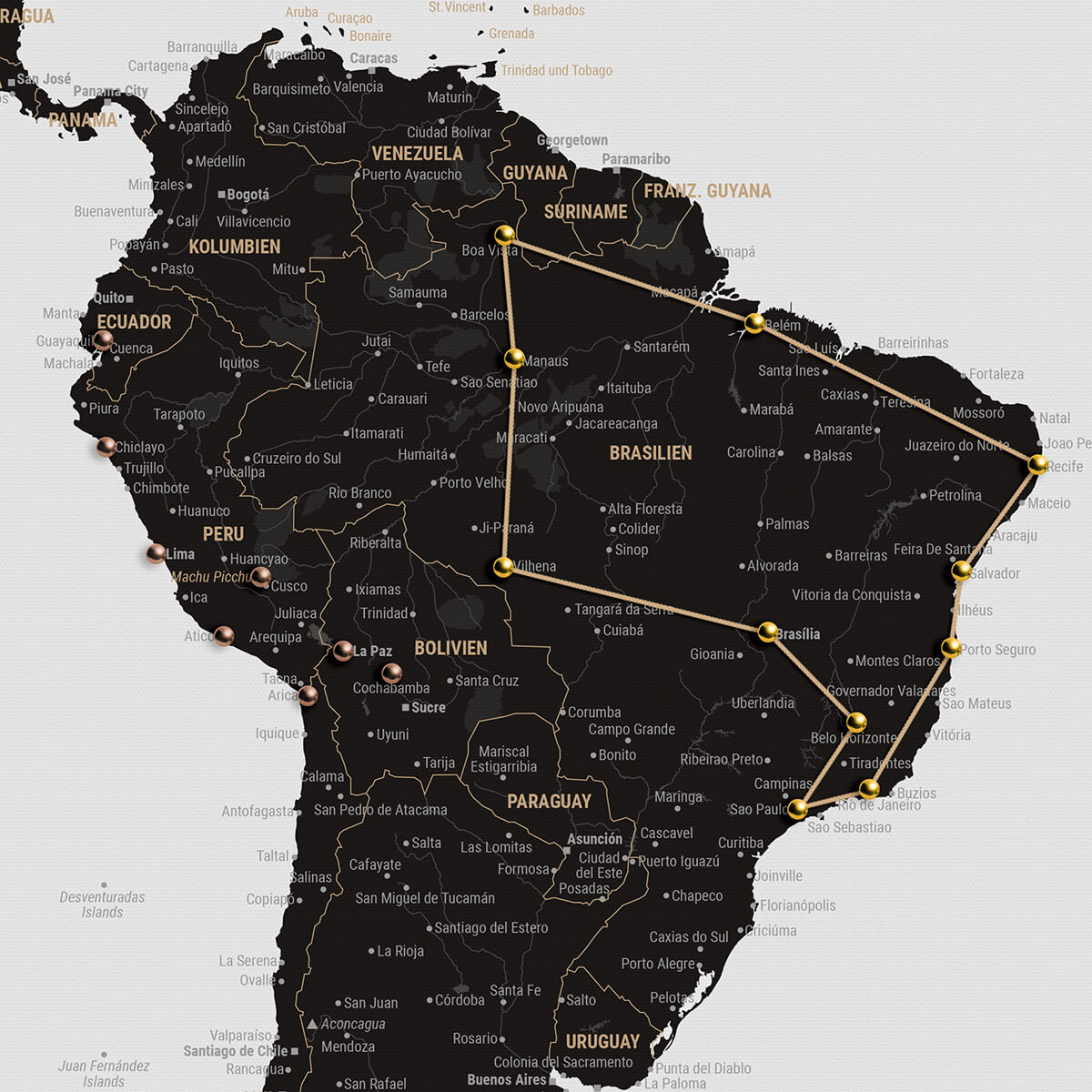 Weltkarte zum Pinnen von Reisen und Markieren von besuchten Orten mit gold-farbenen Stecknadeln