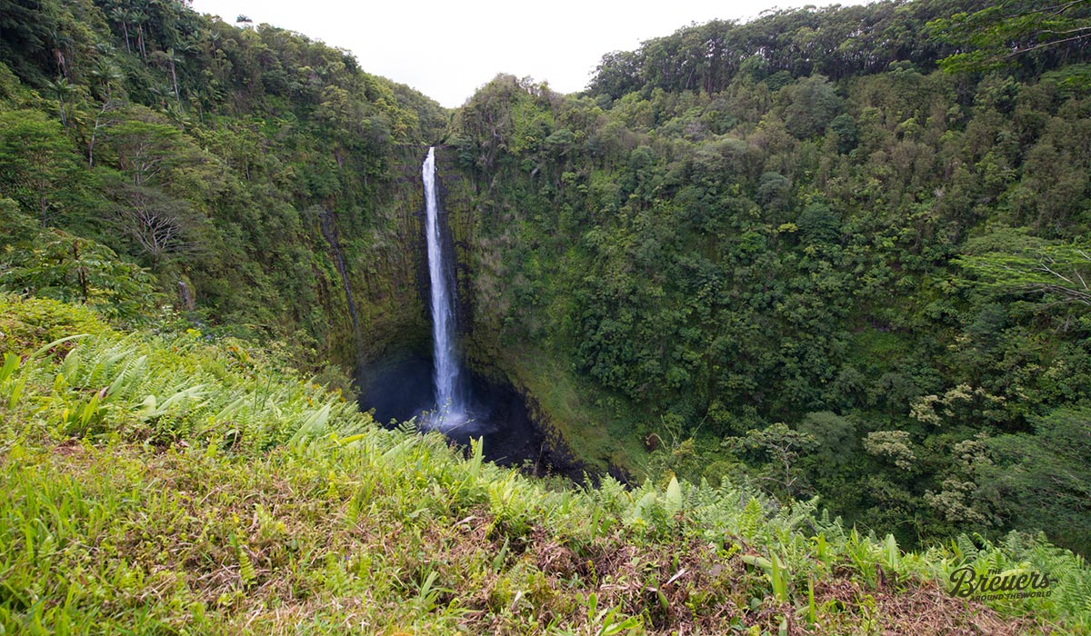135 Meter hohe Akaka Falls auf Big Island