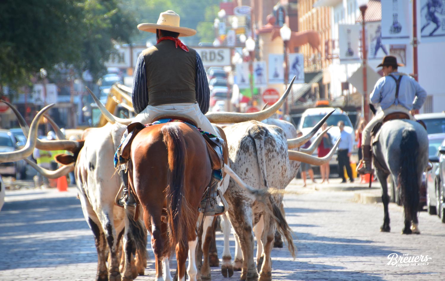 Cattle Drive in Fort Worth Texas